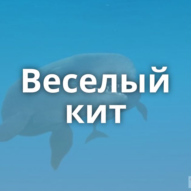 Веселый кит