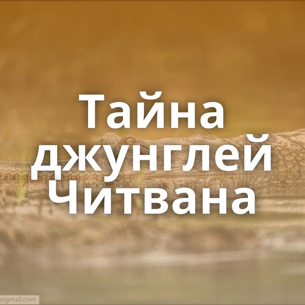 Тайна джунглей Читвана