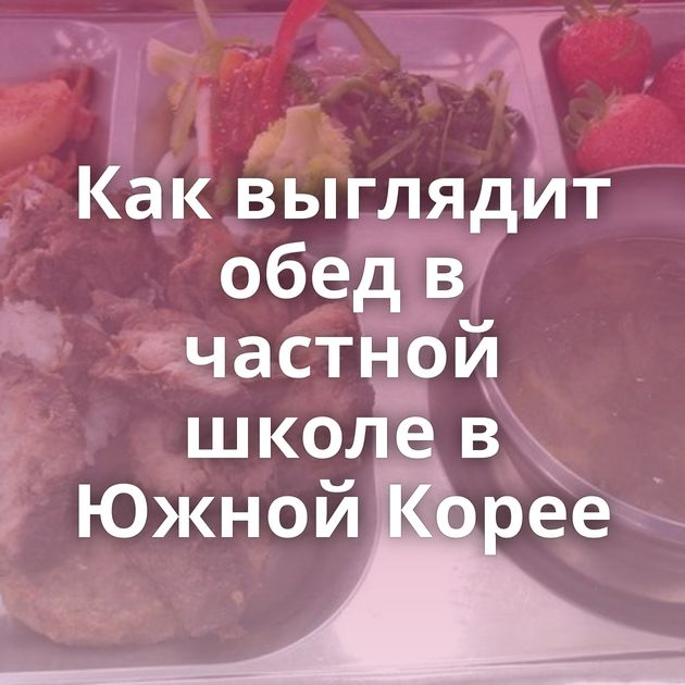 Как выглядит обед в частной школе в Южной Корее