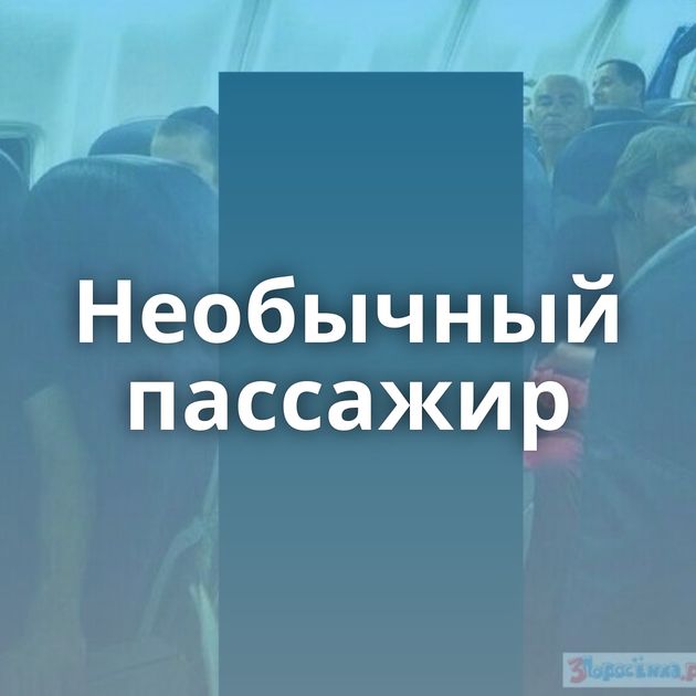 Необычный пассажир