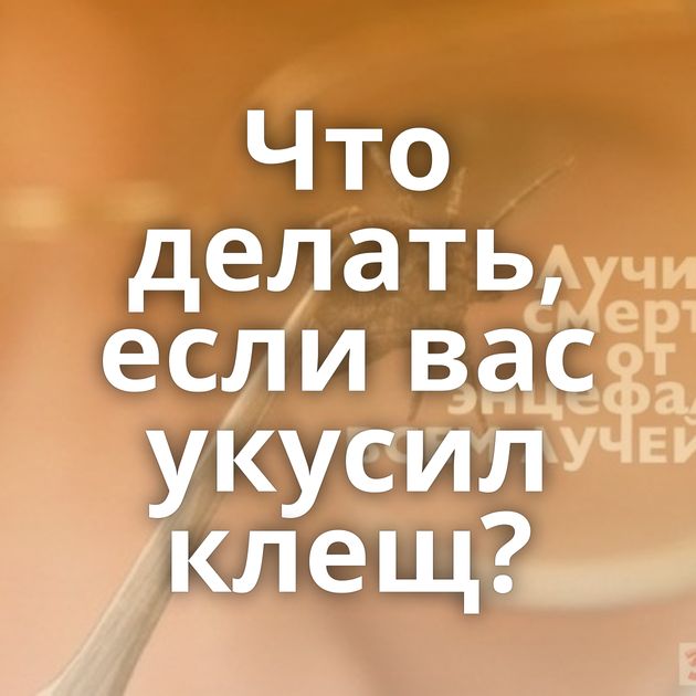 Что делать, если вас укусил клещ?