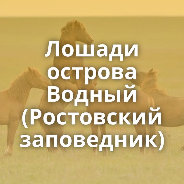 Лошади острова Водный (Ростовский заповедник)