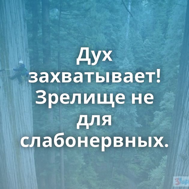 Дух захватывает! Зрелище не для слабонервных.