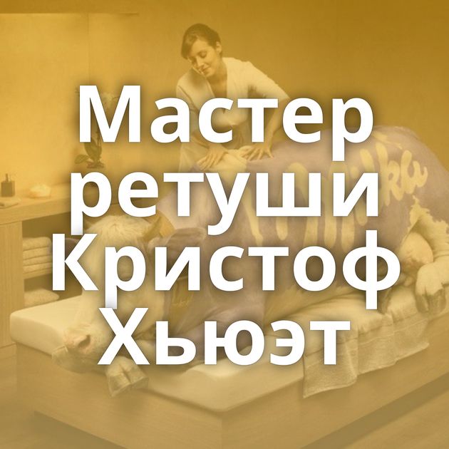 Мастер ретуши Кристоф Хьюэт