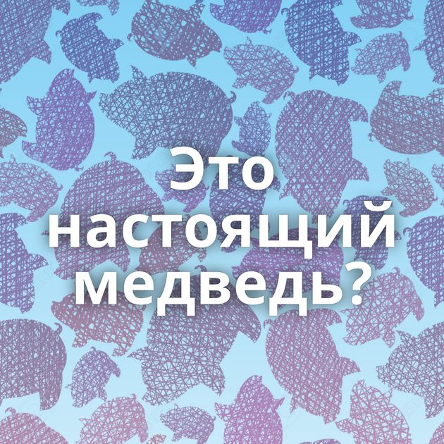 Это настоящий медведь?