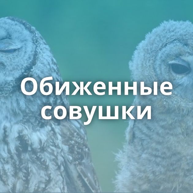 Обиженные совушки