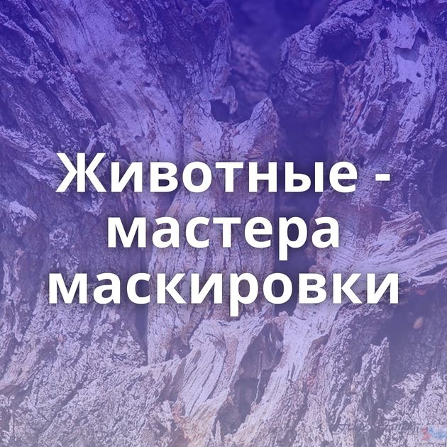 Животные - мастера маскировки