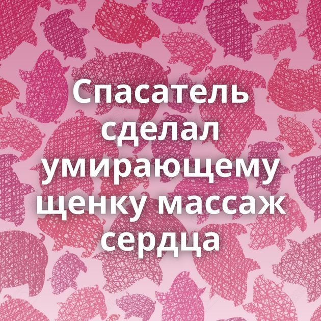 Спасатель сделал умирающему щенку массаж сердца