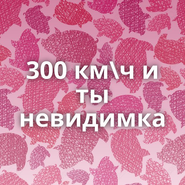 300 км\ч и ты невидимка
