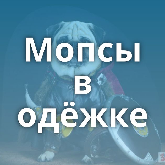 Мопсы в одёжке