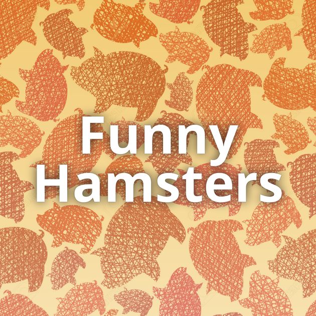Funny Hamsters