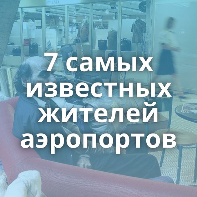 7 самых известных жителей аэропортов
