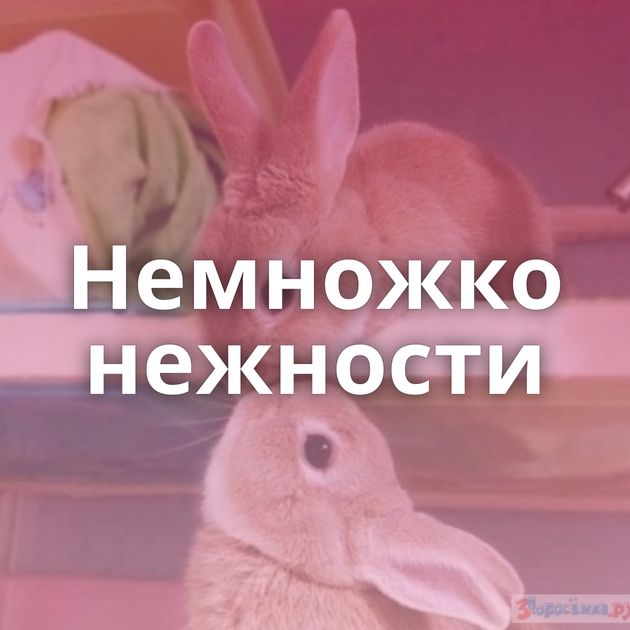 Немножко нежности