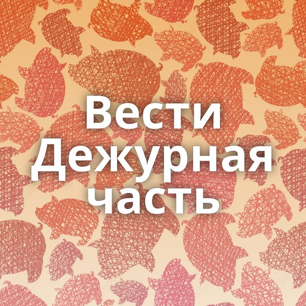 Вести Дежурная часть