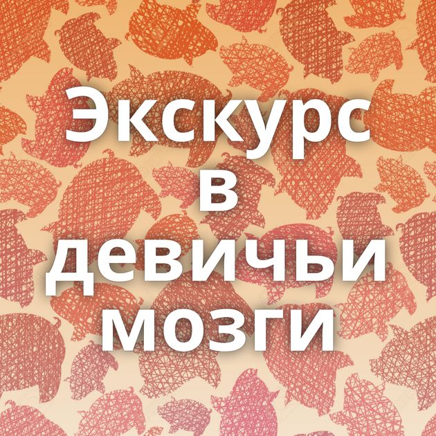 Экскурс в девичьи мозги