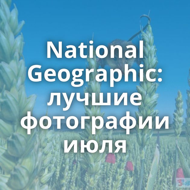 National Geographic: лучшие фотографии июля