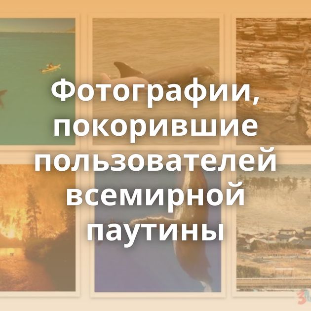 Фотографии, покорившие пользователей всемирной паутины