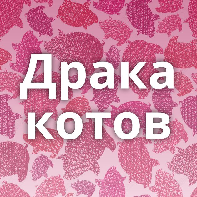 Драка котов