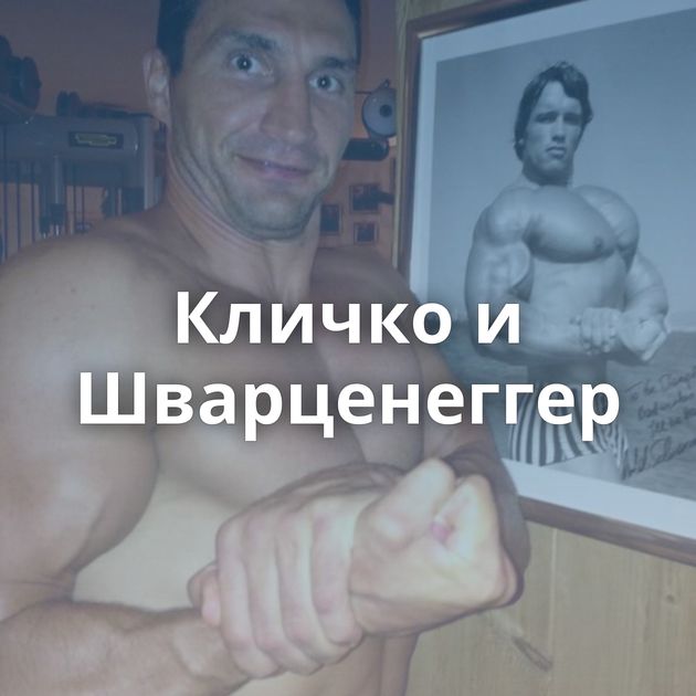 Кличко и Шварценеггер