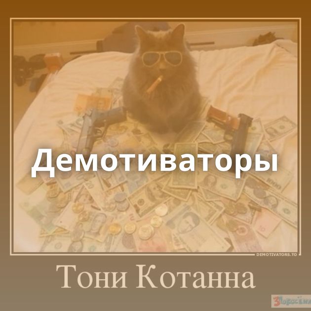 Демотиваторы