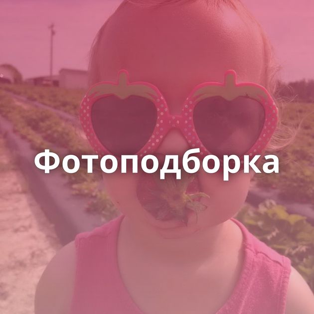 Фотоподборка