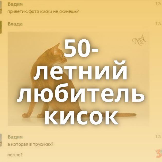 50-летний любитель кисок