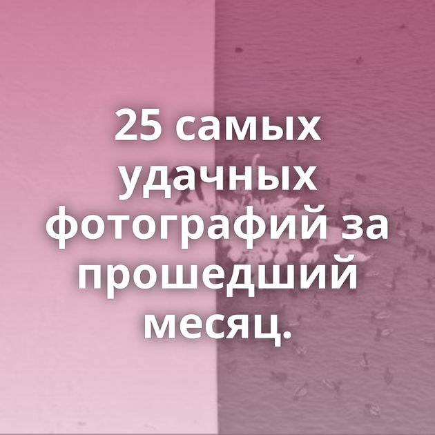 25 самых удачных фотографий за прошедший месяц.