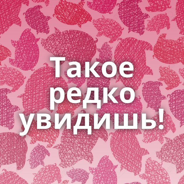 Такое редко увидишь!