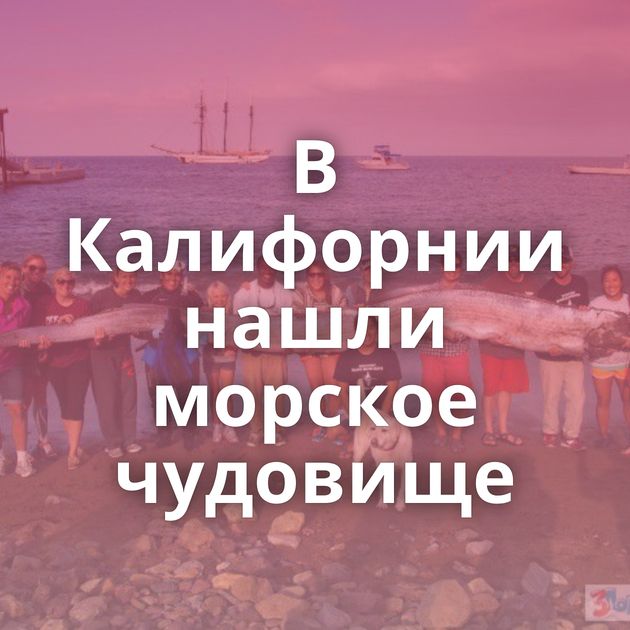 В Калифорнии нашли морское чудовище