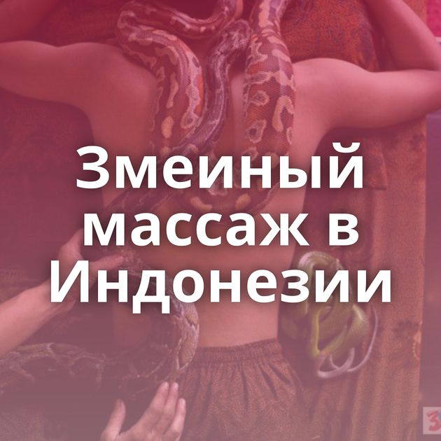 Змеиный массаж в Индонезии