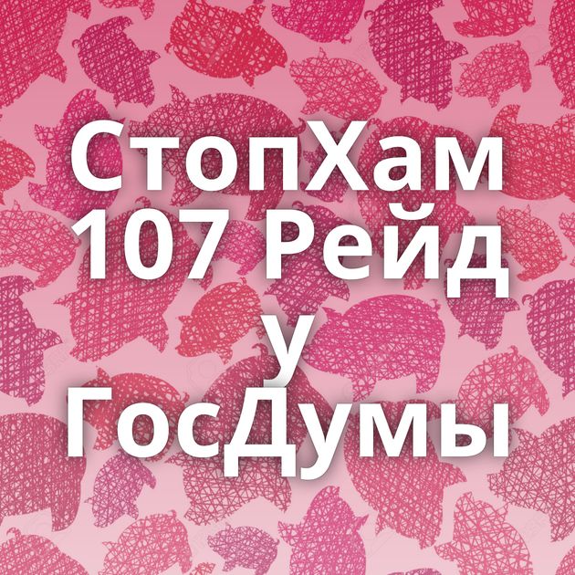 СтопХам 107 Рейд у ГосДумы