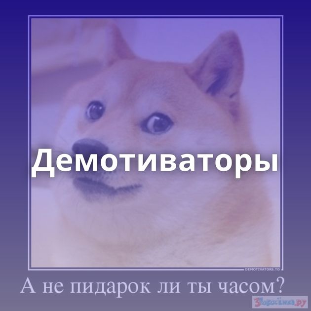 Демотиваторы