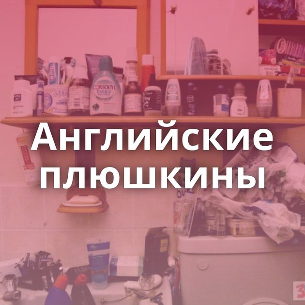 Английские плюшкины