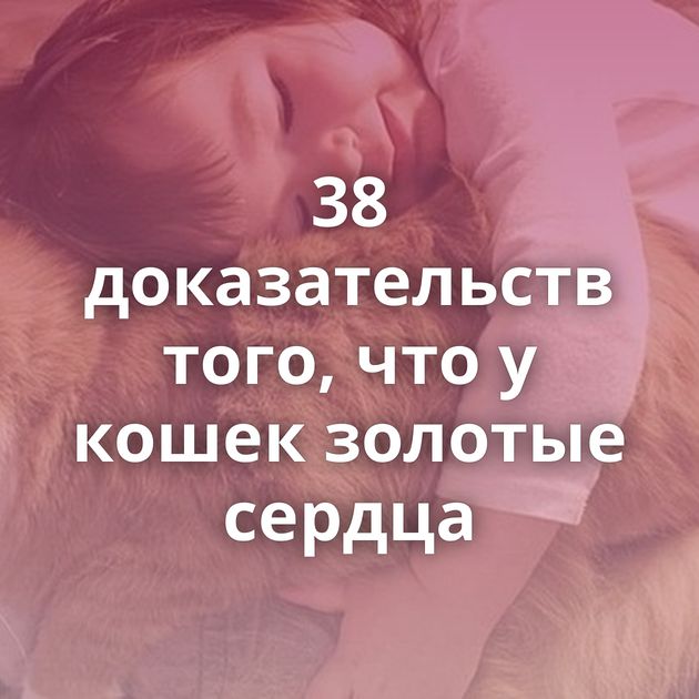 38 доказательств того, что у кошек золотые сердца