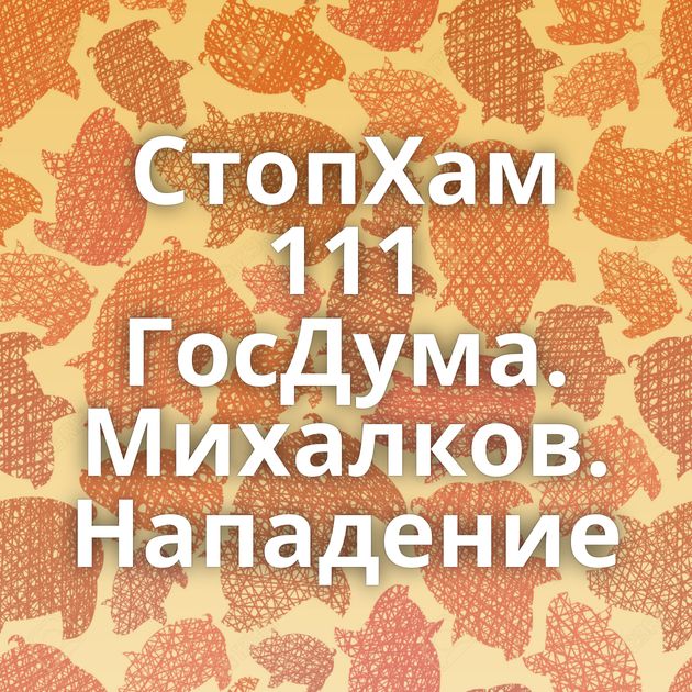 СтопХам 111 ГосДума. Михалков. Нападение