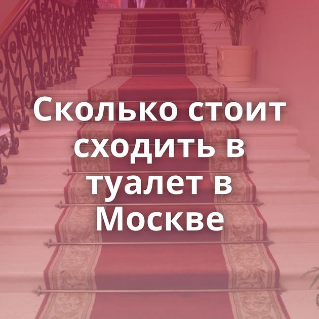 Сколько стоит сходить в туалет в Москве