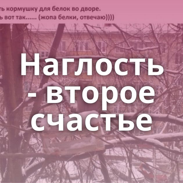 Наглость - второе счастье