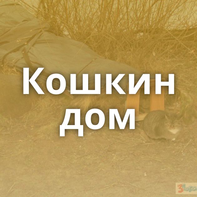 Кошкин дом