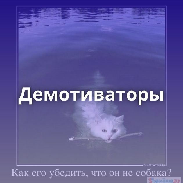 Демотиваторы