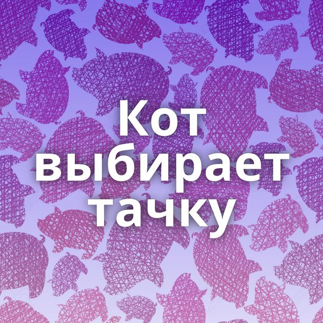 Кот выбирает тачку