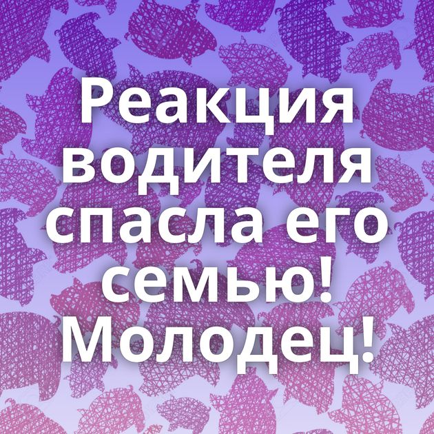 Реакция водителя спасла его семью! Молодец!