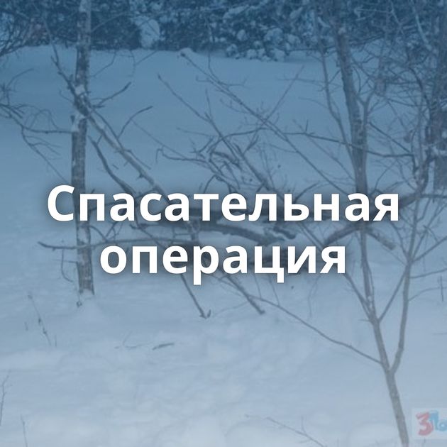 Спасательная операция