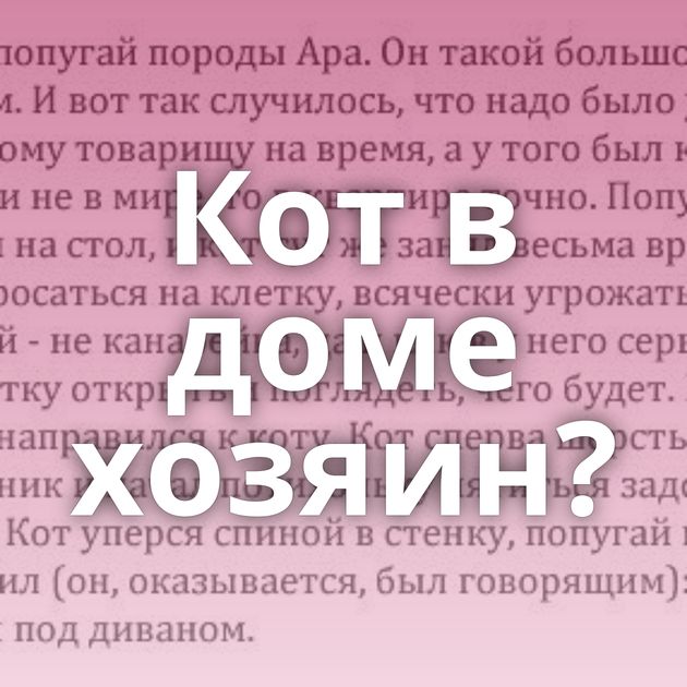 Кот в доме хозяин?