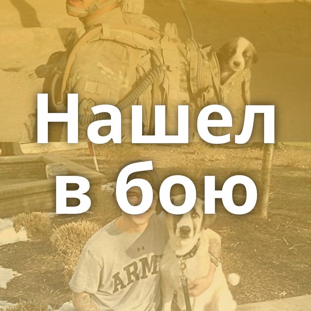 Нашел в бою