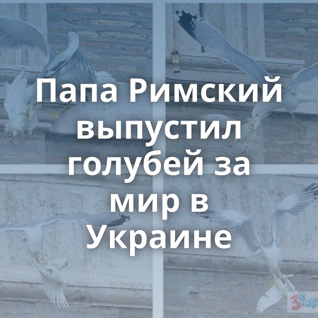 Папа Римский выпустил голубей за мир в Украине
