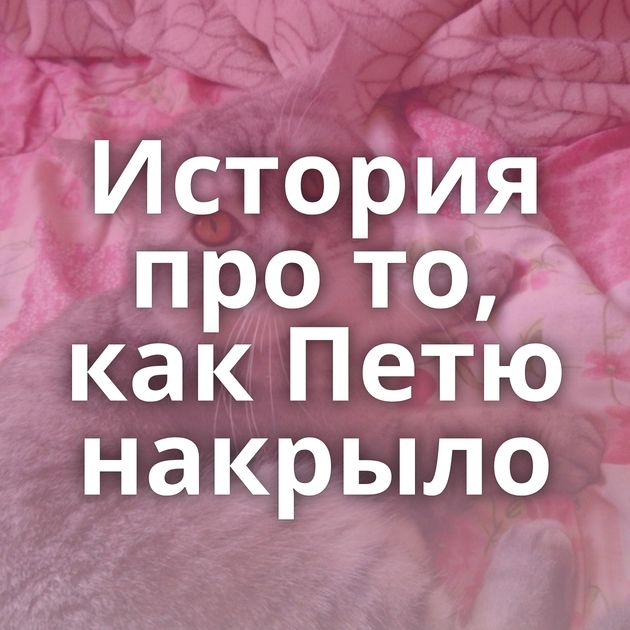 История про то, как Петю накрыло