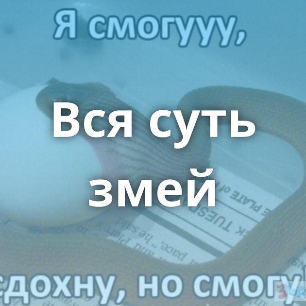 Вся суть змей