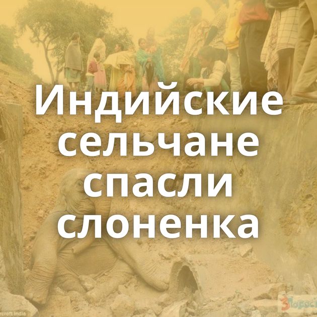 Индийские сельчане спасли слоненка