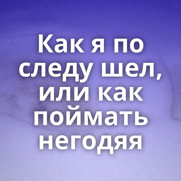 Как я по следу шел, или как поймать негодяя