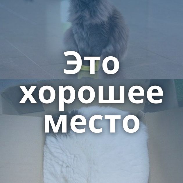 Это хорошее место